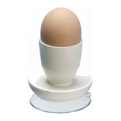 Munatelineet