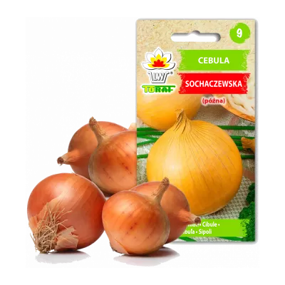 Vihannesten siemenet