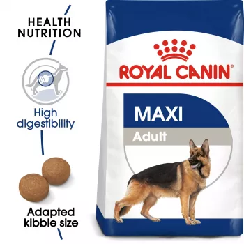 Kuivaruoka koirille Royal Canin SHN Maxi Adult 4 kg – täysravinto siipikarjalla suurille roduille (25–45 kg), 26 % proteiinia
