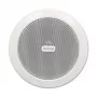 Biamp CM3T 2-tie-kattokaiutin - valkoinen (RAL 9010)