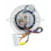 Biamp CM3T 2-tie-kattokaiutin - valkoinen (RAL 9010)