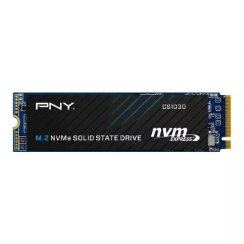 PNY CS1030 256GB M.2 2280 PCIe NVMe Gen3 x4 sisäinen SSD-kiintolevy (Bulk)