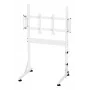 Oplite Nitrokart -näyttöteline V2 White