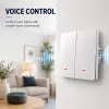 QOLTEC Smart Light Switch WiFi 2-kytkin ajastin Tuya valkoinen