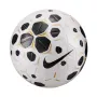 Nike Control 25 koko 5 jalkapallo valkoinen/musta HV4395 100
