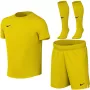 Nike Dri-FIT Park VIII urheilusetti pienille lapsille keltainen L