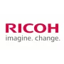 Ricoh D194-2485 (D1942485) tiiviste: terä: sovellus