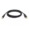 Tripp Lite U022-015 USB 2.0 Hi-Speed A/B-laitekaapeli, suojattu, uros/uros, 15 ft (4,57 m), musta