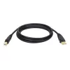 Tripp Lite U022-015 USB 2.0 Hi-Speed A/B-laitekaapeli, suojattu, uros/uros, 15 ft (4,57 m), musta