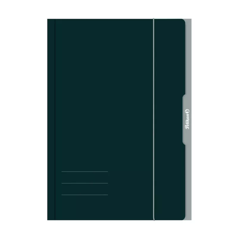Pelikan 276856 kierrekansio A3 kartonki vihreä