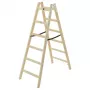 Hailo H40 StandardLine 2x6 puinen kaksipuolinen porrastikas