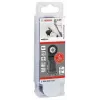Bosch Starlock AIZ 32 APB + AIZ 32 APIT monitoimityökalun teräsarja, 11 osaa