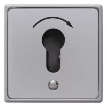 Hager WDE4450 avainkytkin uppoasennus profiilipuolisylinterille painevalettu IP44 1 NO kosketin