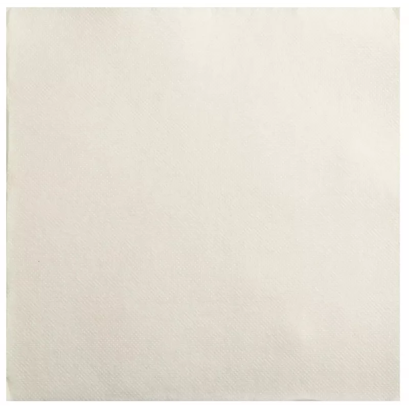 PROnappe servetit creme 2-kerroksinen 19,0 x 19,0 cm 40 kpl