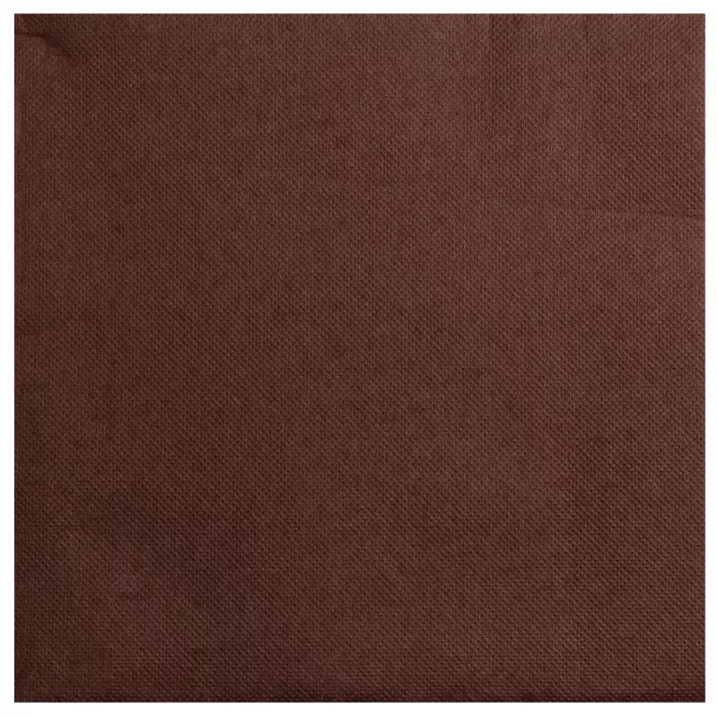 PROnappe servetit ruskea 2-kerroksinen 19,0 x 19,0 cm 40 kpl