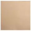 PROnappe servetit beige-ruskea 2-kerroksinen 19,0 x 19,0 cm 40 kpl