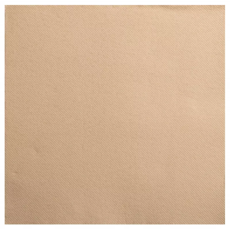PROnappe servetit beige-ruskea 2-kerroksinen 19,0 x 19,0 cm 40 kpl