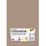 Folia 614/50 73 Cappuccino Solid A4 Cardstock 300 g/m² 50 arkkia