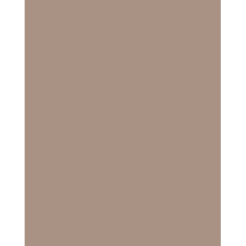 Folia 614/50 73 Cappuccino Solid A4 Cardstock 300 g/m² 50 arkkia