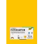 Folia 614/50 15 kartonki A4 kullankeltainen 300 g/m² 50 arkkia