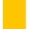 Folia 614/50 15 kartonki A4 kullankeltainen 300 g/m² 50 arkkia
