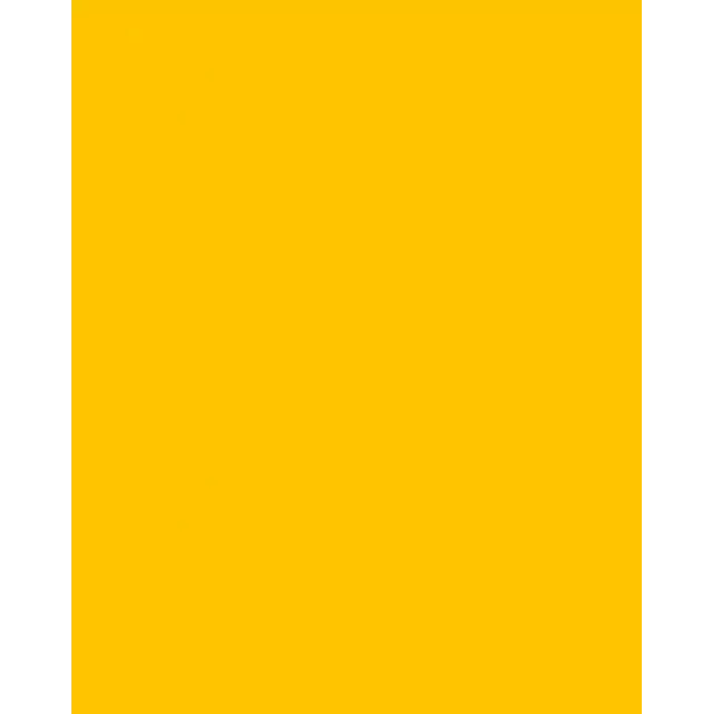 Folia 614/50 15 kartonki A4 kullankeltainen 300 g/m² 50 arkkia
