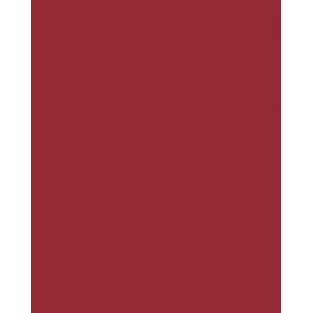 Folia 614/50 22 - punainen - yksivärinen - A4 (210 x 297 mm) - 300 g/m² - 50 arkkia - Saksa
