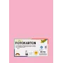 Folia 614/50 26 - ruusu - yksivärinen - A4 (210 x 297 mm) - 300 g/m² - 50 arkkia - Saksa