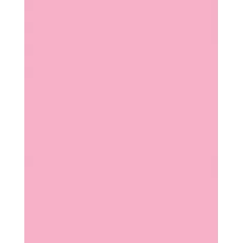 Folia 614/50 26 - ruusu - yksivärinen - A4 (210 x 297 mm) - 300 g/m² - 50 arkkia - Saksa