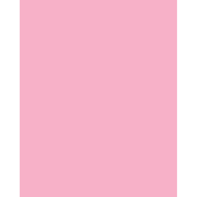 Folia 614/50 26 - ruusu - yksivärinen - A4 (210 x 297 mm) - 300 g/m² - 50 arkkia - Saksa