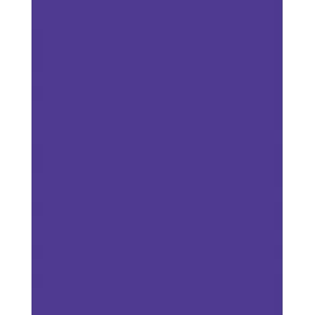 Folia 614/50 32 - violetti - yksivärinen - A4 (210 x 297 mm) - 300 g/m² - 50 arkkia - Saksa