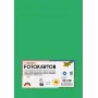 Folia 614/50 54 - vihreä - yksivärinen - A4 (210 x 297 mm) - 300 g/m² - 50 arkkia - Saksa