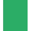 Folia 614/50 54 - vihreä - yksivärinen - A4 (210 x 297 mm) - 300 g/m² - 50 arkkia - Saksa