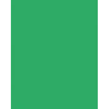 Folia 614/50 54 - vihreä - yksivärinen - A4 (210 x 297 mm) - 300 g/m² - 50 arkkia - Saksa