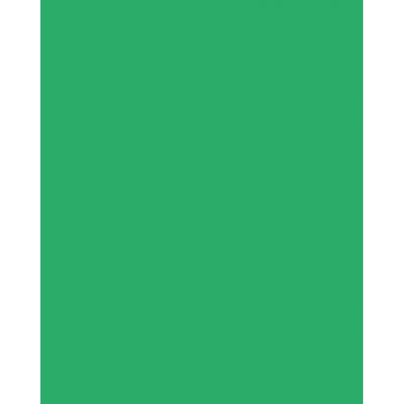 Folia 614/50 54 - vihreä - yksivärinen - A4 (210 x 297 mm) - 300 g/m² - 50 arkkia - Saksa