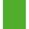 Folia 614/50 55 - vihreä - yksivärinen - A4 (210 x 297 mm) - 300 g/m² - 50 arkkia - Saksa