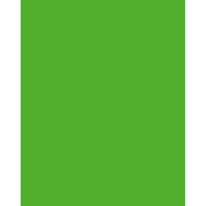 Folia 614/50 55 - vihreä - yksivärinen - A4 (210 x 297 mm) - 300 g/m² - 50 arkkia - Saksa