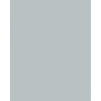 Folia 614/50 60 designpaperi - hopea - A4 (210 x 297 mm) - 300 g/m² - matta - 50 arkkia