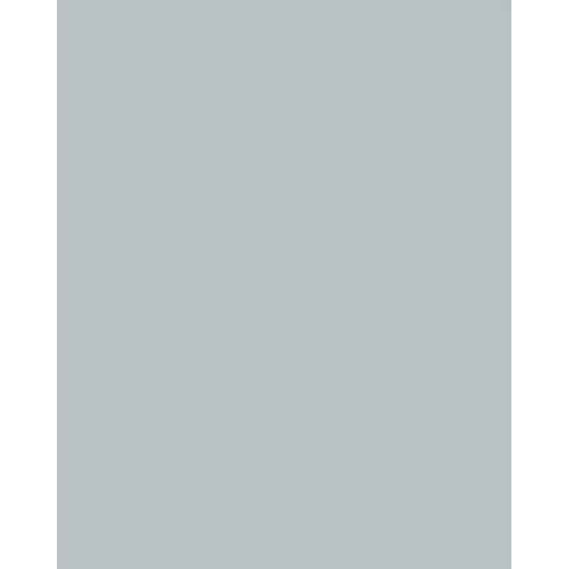 Folia 614/50 60 designpaperi - hopea - A4 (210 x 297 mm) - 300 g/m² - matta - 50 arkkia