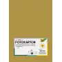 Folia 614/50 65 - kulta - yksivärinen - A4 (210 x 297 mm) - 300 g/m² - matta - 50 arkkia