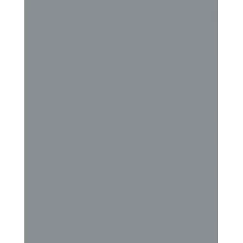 Folia 614/50 84 - harmaa - yksivärinen - A4 (210 x 297 mm) - 300 g/m² - 50 arkkia - Saksa