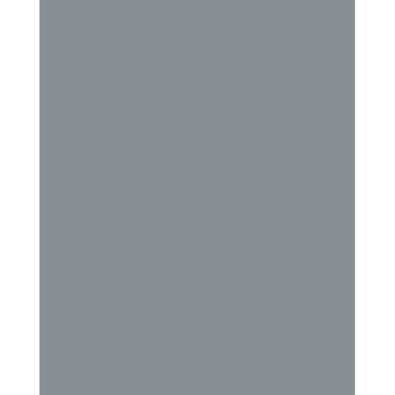 Folia 614/50 84 - harmaa - yksivärinen - A4 (210 x 297 mm) - 300 g/m² - 50 arkkia - Saksa