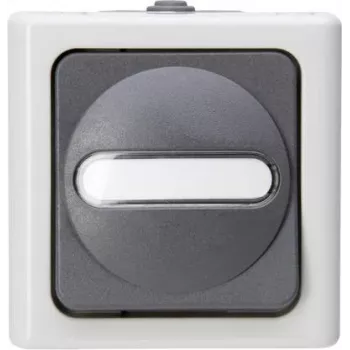 Heinrich Kopp ristikytkin pinta-asennus kosteantila BLUE ELECTRIC harmaa 10A 250V IP44 pinta-asennus-vaihtokytkin