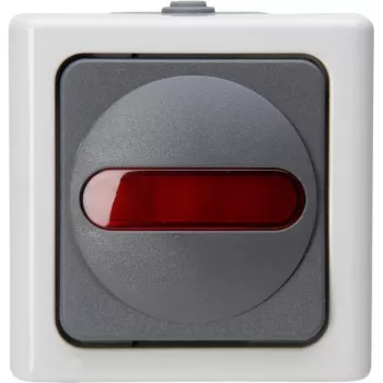 Heinrich Kopp 561656007 painokytkin, harmaa/valkoinen, termoplasti, IP44, 10A, 250V