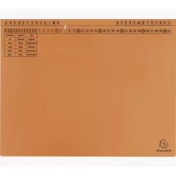 Exacompta 371109B kansio - kartonki - oranssi - 320 g/m² - 265 x 316 mm