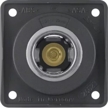 Berker pistorasia 845712505 12V antrasiitti matta