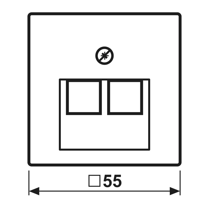 JUNG A 569-2 BFPLUA suojakansi UAE/IAE-liitäntärasialle, kestomuovi, norsunluu
