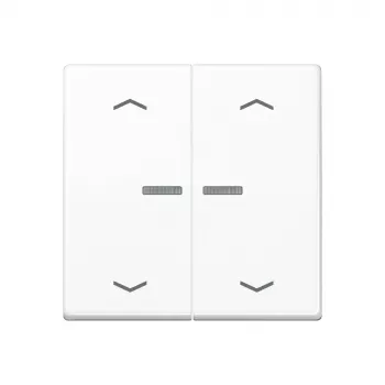 JUNG Home -painike 2-osainen Bluetooth AS 17102 P WW