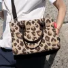 Reisenthel dailyshopper XS Leo Macchiato ostoskassi