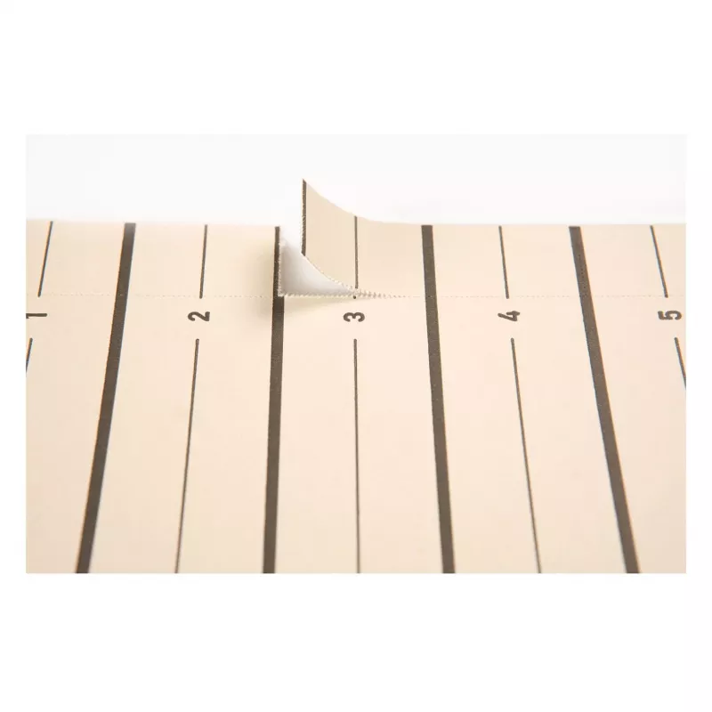 PAGNA välilehdet A4 kartonki beige 100 kpl rei'ittämätön 180 g/m² 44063-09